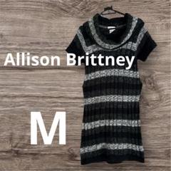 匿名配送✨Allison Brittney Mサイズ ボーダーニット