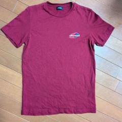 DIESEL 赤 ロゴ Tシャツ　メンズ　XS