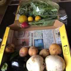 ④ 野菜セット 三重県より