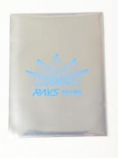 SnowMan RAYS チケット風カード 新品未開封 全員分 新品未開封 SnowMan チケット風カード RAYS 9人 全員 グッズ