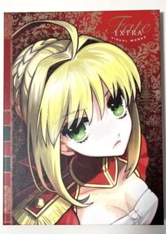 Fate/EXTRA VISUAL WORKS