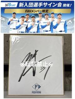 【非売品】北海道日本ハム 柴田獅子 球団公式 直筆サイン色紙 エスコンサイン会