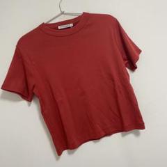 16ビューティ＆ユースユナイテッドアローズ オーガニックコットン Tシャツ