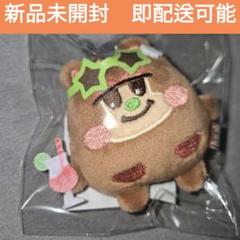 RIIZE ソウルコン　ショウタロウ　ミニドール　サマー　サングラス　G743 RIIZE ソウルコン グッズ ミニぬいぐるみキーリング サングラス