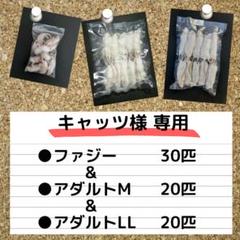冷凍マウスの中古/未使用品 - メルカリ