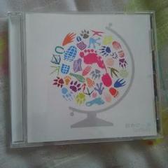 【新品未使用品】ラックライフ Mr. CD 廃盤】ラックライフ Mr. 帯付きの通販 by 出品リスト｜ラクマ