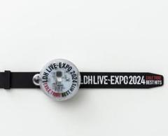 2025年最新】LIVE expo フラッグの人気アイテム - メルカリ