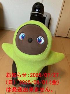 LOVOTラボット2.0本体&ネスト(ちゃ)、2023年12月購入、稼働約７か月