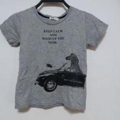 ゼブラと車のTシャツ