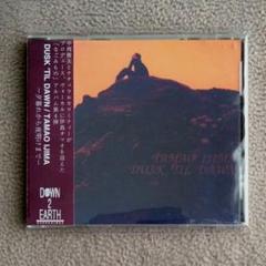 伊島タマオ CD Dusk 'Til Dawn 中西俊夫 高橋幸宏