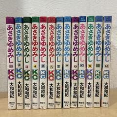 あさきゆめみし　全巻セット　大和和紀　即購入OK 漫画　コミック