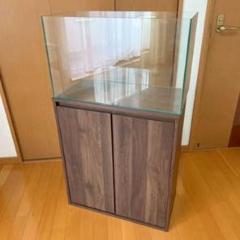 22年最新 水槽 60cm ハムスターの人気アイテム メルカリ