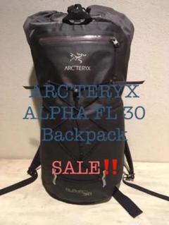Arcteryx Alpha Flの中古 未使用品を探そう メルカリ