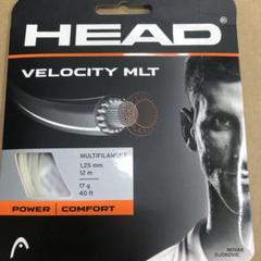 【特価品】HEAD ヘッド　ベロシティマルチ　テニス用ナイロンガット