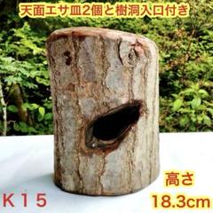 2025年最新】樹洞加工の人気アイテム - メルカリ