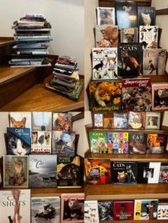 超希少 猫 洋書 画集 写真集 コレクション まとめ売り50冊 超希少 猫 洋書 画集 写真集 コレクション まとめ売り50冊