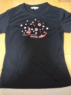 未使用品に近いKaepa スポーツウェア Tシャツ 半袖 ブラック Mレディース