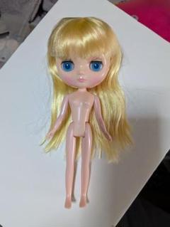 プチブライス  本体のみ Amazon | プチブライス☆初期ボヘミアンビート☆PBL 07 | 人形