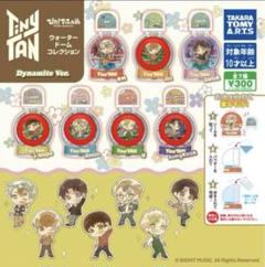 TinyTAN ウォータードームコレクション　ジン ぴた！でふぉめ TinyTAN ウォータードームコレクション｜商品