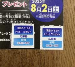 週刊少年マガジン 34号 黒月のイェルクナハト 応募券×2