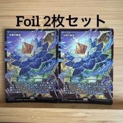 2枚セット ショーケース Foil 光輝の睡蓮 日本語版 霊気走破