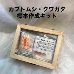 2025年最新】標本箱 大型の人気アイテム - メルカリ