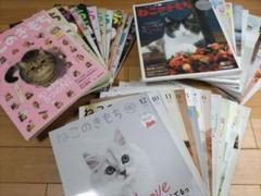 ねこのきもち 36冊セット - メルカリ