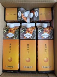 豊潤サジージュース 1000ml 3本 300ml ２本 豊潤サジー 1000ml×3本・300ml×2本 - メルカリ