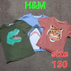 H&M　Tシャツ　130 キッズ　男の子　恐竜　虎　サメ　セット