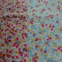 アメリカンプリント生地セット　LECIEN他　まとめて ポンドR 30/10国産裏毛[027P0007184] | STYLEM FABRIC STORE