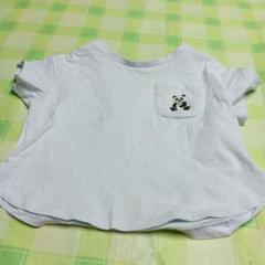 水色 パンダ ポケット Tシャツ 70-80cm