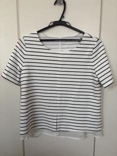CURATOR ストライプ 半袖Tシャツ 38 総レース　裾レース　ボーダー