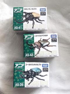 【ポン】コーカサスオオカブト&ゴホンツノカブト Amazon | コーカサスオオカブト&ゴホンヅノカブト いきもの大