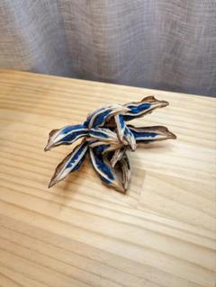 【現品】旅人の木/扇芭蕉　ドライ　特大（1） 現品】旅人の木/扇芭蕉 ドライ 特大（1）