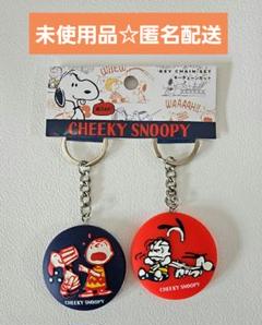 ☆新品☆ユニバーサルスタジオジャパンUSJ限定　スヌーピーキーチェーンセット