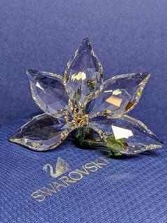 2025年最新】スワロフスキー swarovski scs限定の人気アイテム