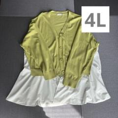eur3の春カーディガン【新品】