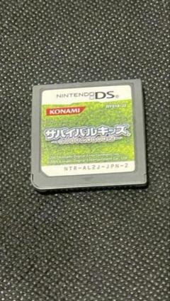 サバイバルキッズ lost in blue 2 ソフトのみ