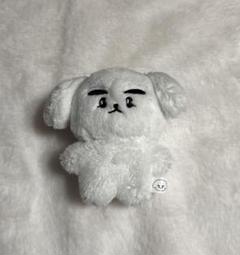 WayV 威神V シャオジュン ぬいぐるみ 10cm マスター - メルカリ