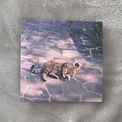 風になれたら the奥歯's CD