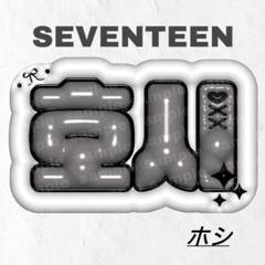 SEVENTEEN - 速達 SEVENTEEN ミンギュ ホシ ミンハオ ウォヌ うちわ文字 セブチ seventeen ウォヌ ハングル 蛍光ピンク うちわ文字