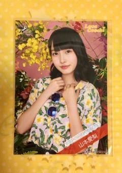 山本愛梨 生写真 ラストアイドル 即購入不可 生写真(女性)/アイドル/Love Cocchi Love Cocchi/山本愛梨