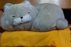 ひげまんじゅう ぬいぐるみ 猫 クッション付き