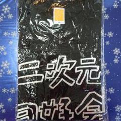 【レア】二次元同好会 Tシャツ SKE48