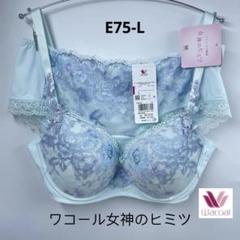 ワコールブラジャーショーツ上下セット　女神のヒミツE75-L Wacoal - ワコール 女神のヒミツ BRB466 F65Mの通販 by shop