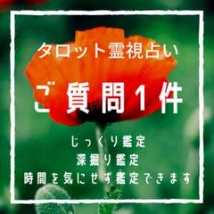 相談1件占います!じっくり深掘り鑑定!タロット霊視鑑定