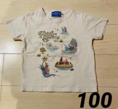 楽天市場】キッズ Tシャツ 140cm ファンタジースプリングスの