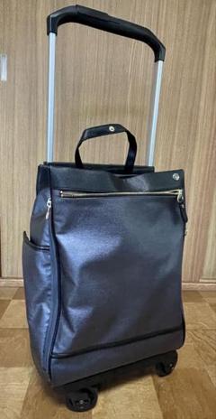 soelte　ソエルテ　キャリーバッグ　中古 soelte 最大50%☆8/25限定 ソエルテ キャリーバッグ マルメ お