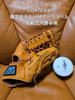 2025年最新】ミズノ ビューリーグ グラブの人気アイテム - メルカリ
