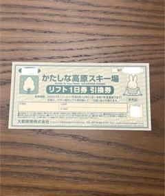 かたしな高原スキー場　リフト券引き換え券　２枚（駐車場無料チケット付） かたしな高原スキー場（尾瀬・水上エリア） | 宿泊・日帰り